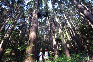 加里山