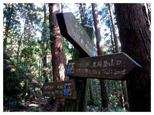 沿路登山指標