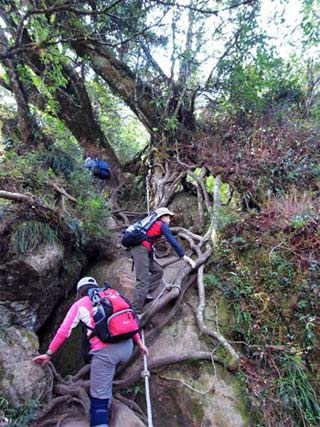 加里山